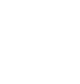 White lizard silhouette